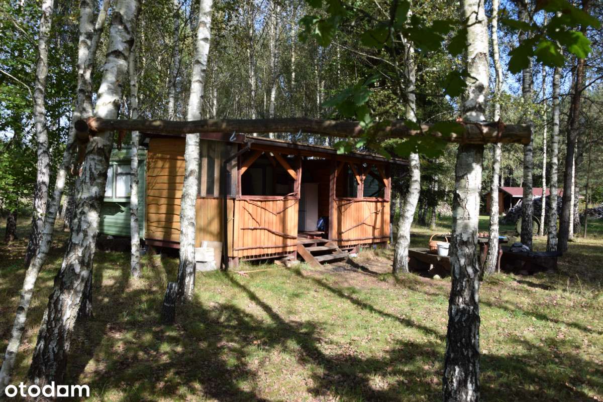 Dwa domy z potencjałem i dużą działką na Kaszubach-3