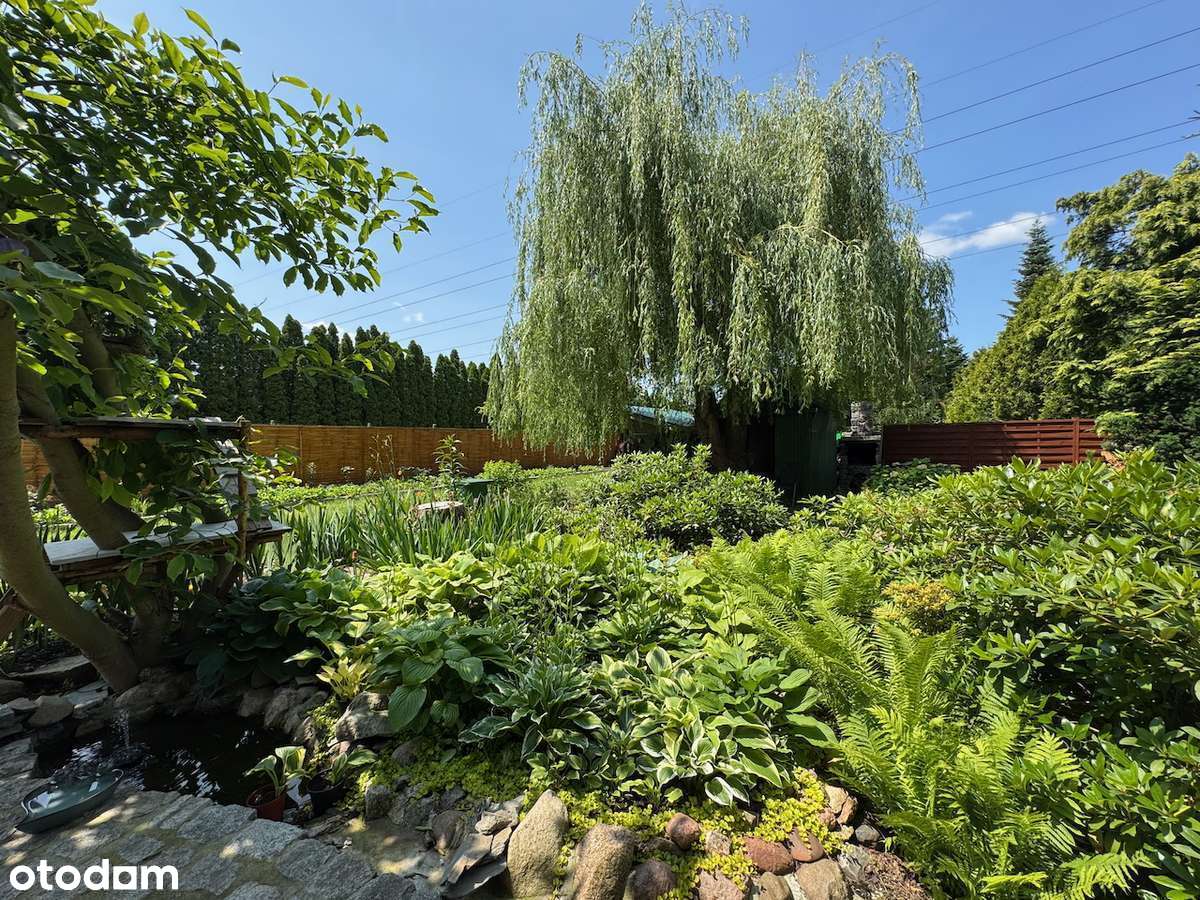 Gotowiec | Ołtaszyn | Wysokie ROI% | Duża Działka-1