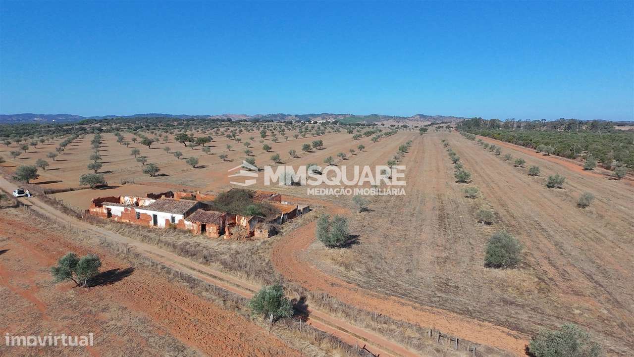 Herdade  Venda em Garvão e Santa Luzia,Ourique-7
