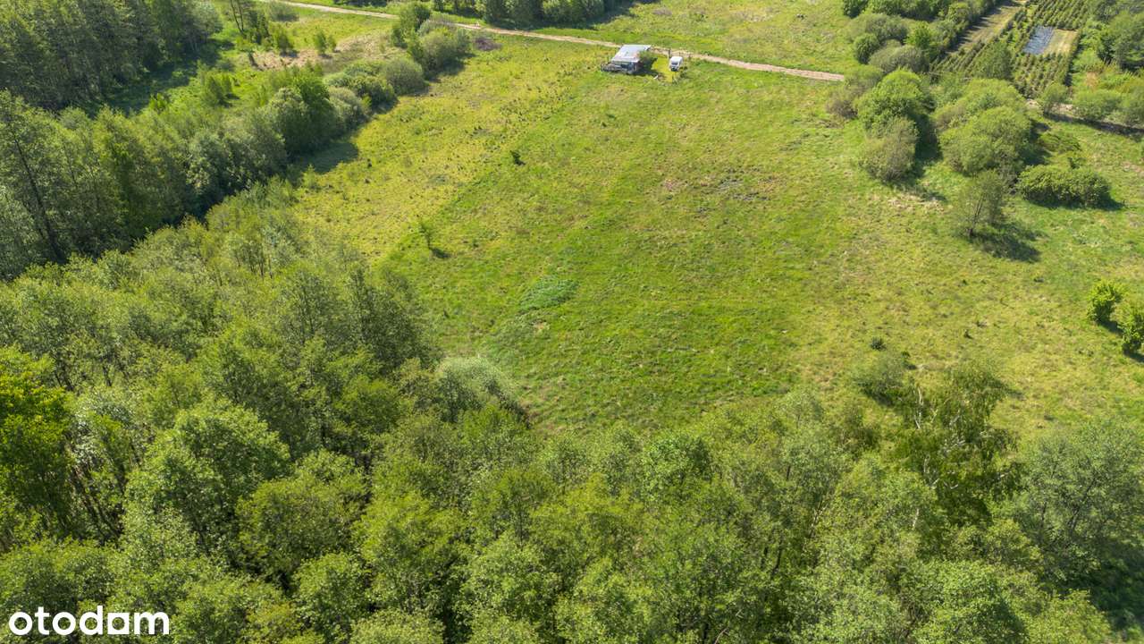 Działka  - Lewickie 5200 m - Pełny obrazek: 4/8