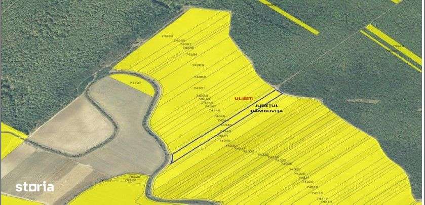 Teren extgravilan agricol Uliesti, ID: R2263433 - Imagine principală: 4/7