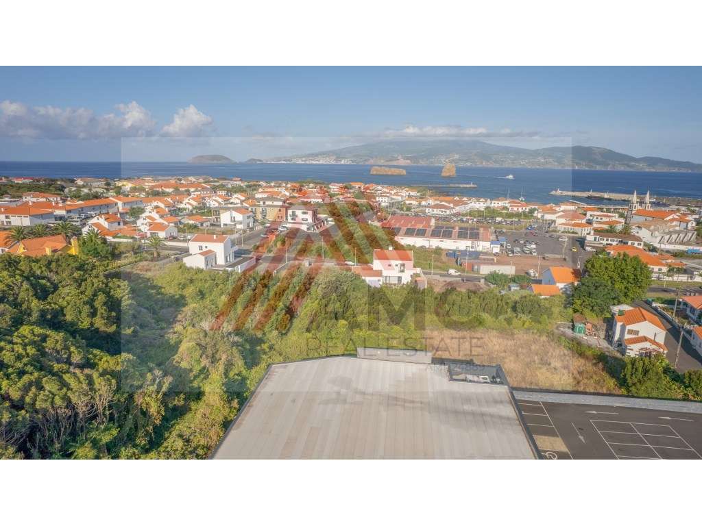 TERRENO COM RUINA NO CENTRO DA VILA MADALENA - Grande imagem: 4/15