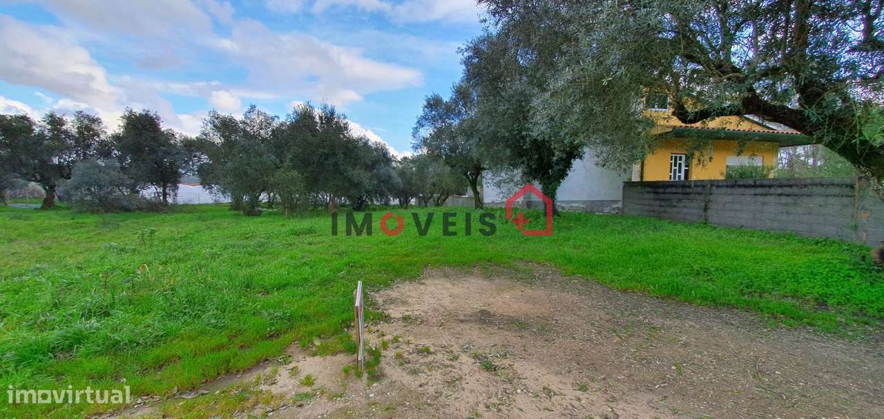 Terreno rústico com viabilidade de construção – Ortigosa - Grande imagem: 3/7