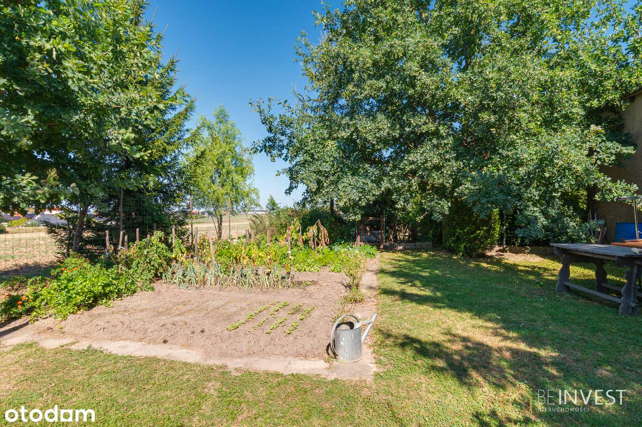 Duży dom parterowy + poddasze | Budynek gospodarczy, duża działka-15