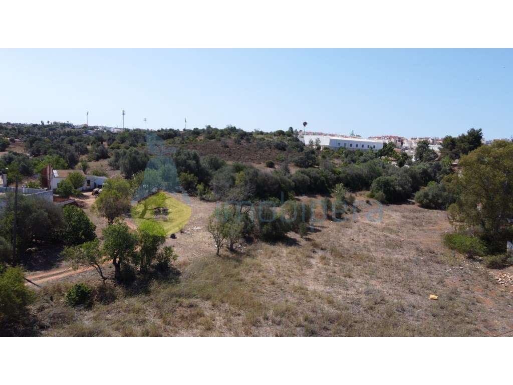 Terreno urbano e agrícola para projeto de moradias ou apartamentos ... - Grande imagem: 2/11