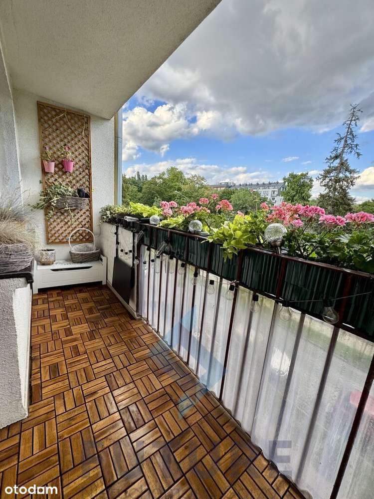 Mieszkanie 50m2 śródmieście–gotowe do wprowadzenia-0