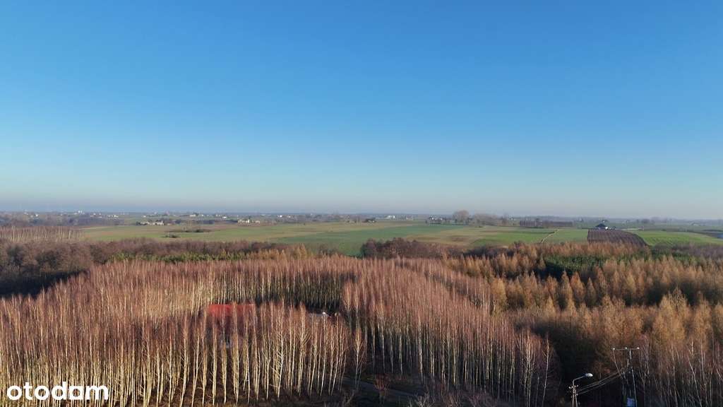 Mieszkanie w lesie - do remontu-18