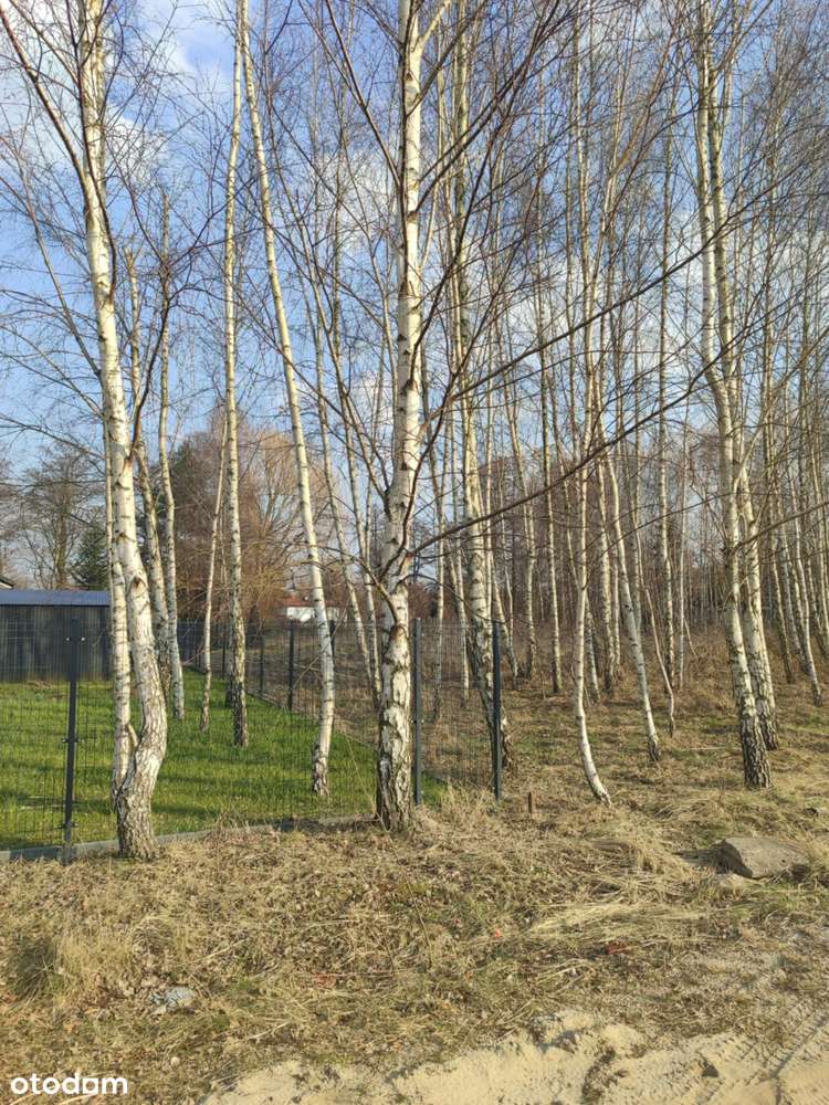 Działka budowlana 1060m2/Aleksandrów Łódzki - Pełny obrazek: 5/5