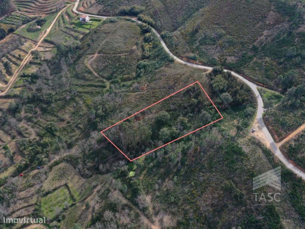 Terreno no Telhado, Fundão - Grande imagem: 5/14