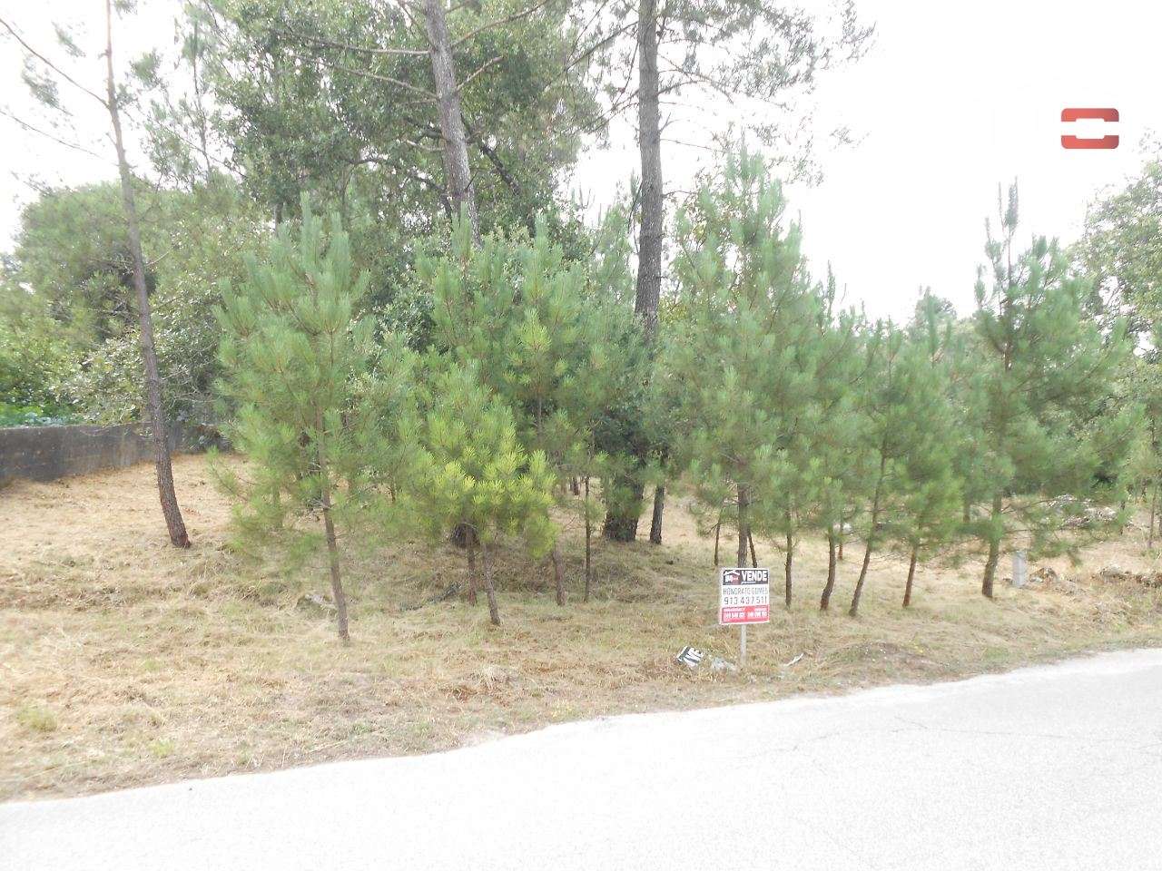 TERRENO PARA CONSTRUÇÃO COM 1640 M2 MUITO BOA LOCALIZAÇÃO BOUCEIROS... - Grande imagem: 2/15