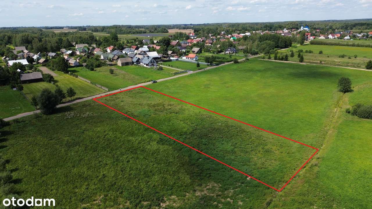 Dubiny - działka 2414 m2 - WZ - piękny widok na Puszczę! - Pełny obrazek: 5/19