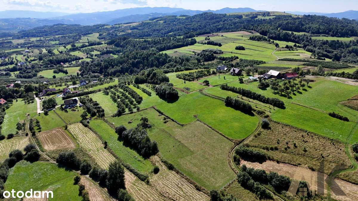 Działka rolna 26,5ar Wola Piskulina - Pełny obrazek: 2/12