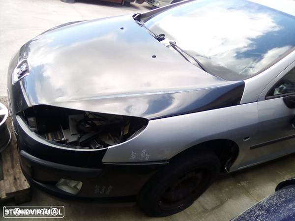 Peugeot 407 2.0 HDI    2006 - 5