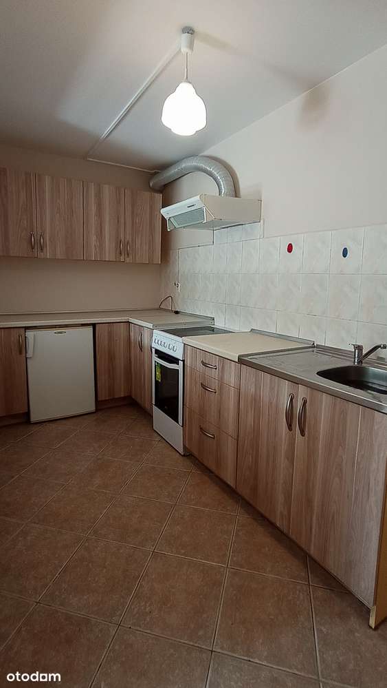 Samodzielna kawalerka z tarasem - Pełny obrazek: 4/7