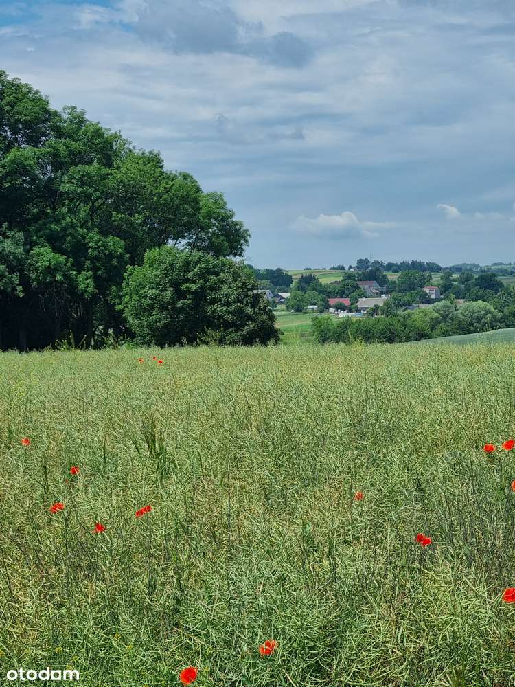 72 ary Kraków z widokiem - Pełny obrazek: 4/4