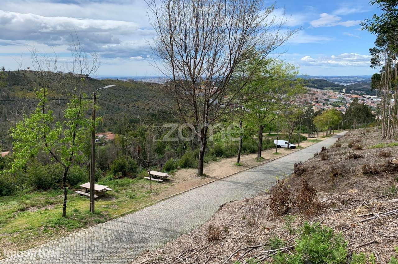 Terreno para exploração florestal e agrícola - Santa Justa, Valongo - Grande imagem: 1/19