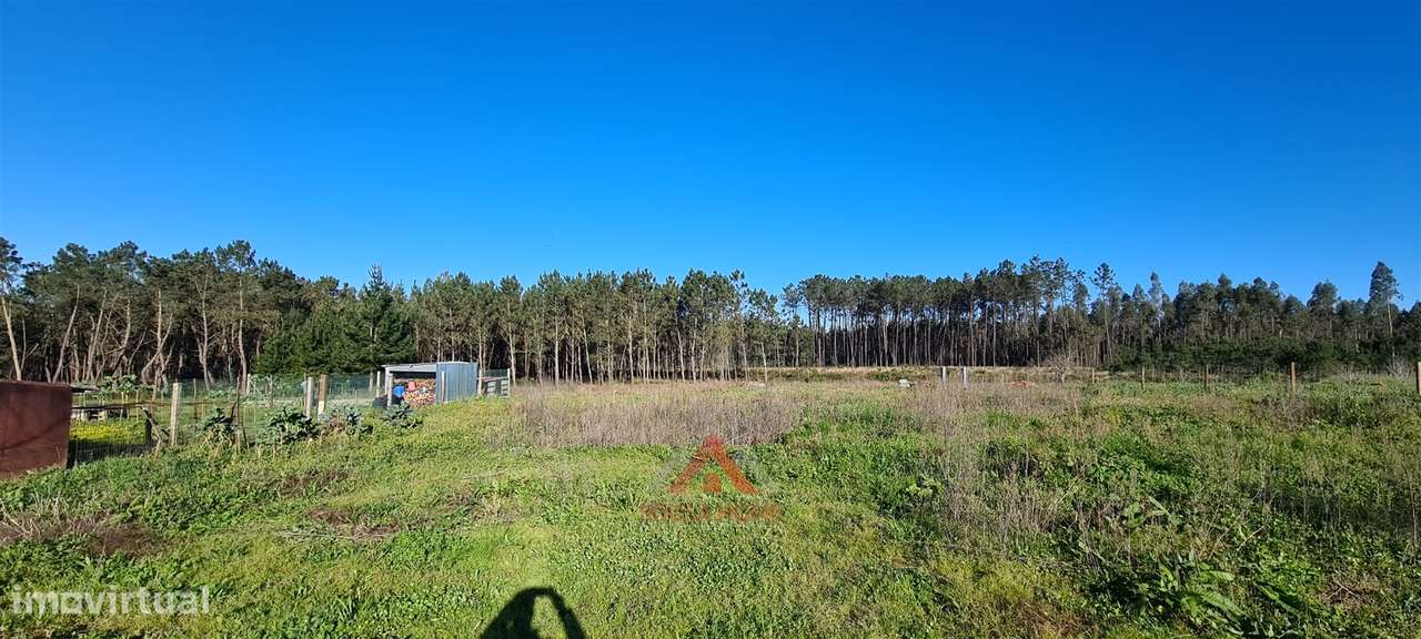 Moradia T7 + Sala c/ 100M2 + Terreno 4.666M2-8