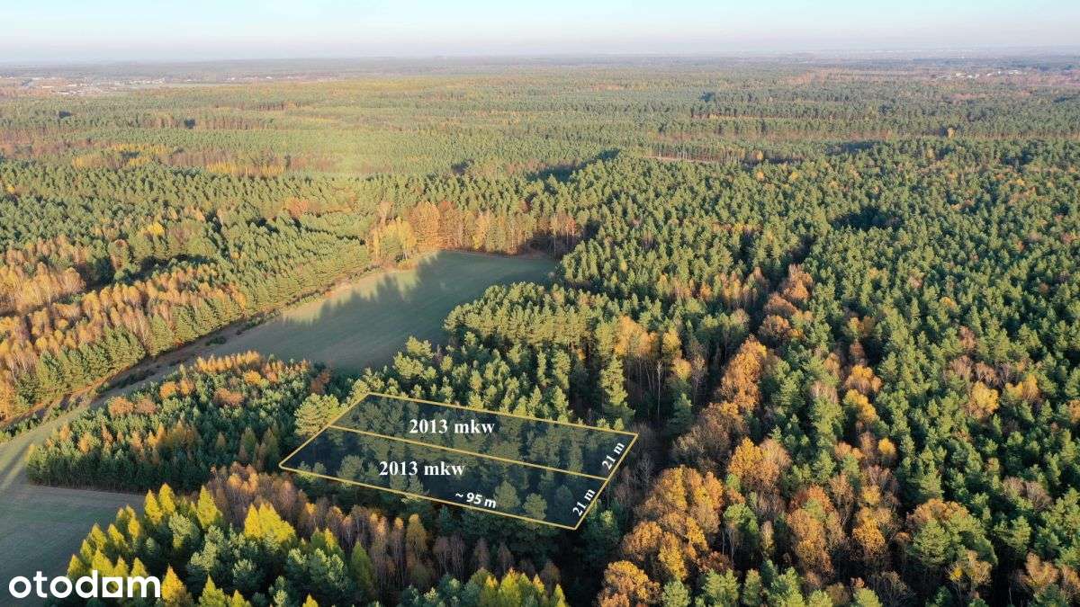 Działka budowlana w lesie - Pełny obrazek: 3/9