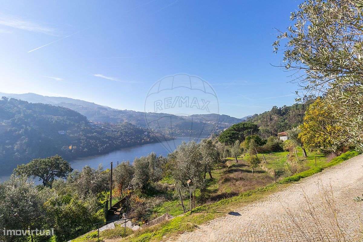 Terreno  para venda-6