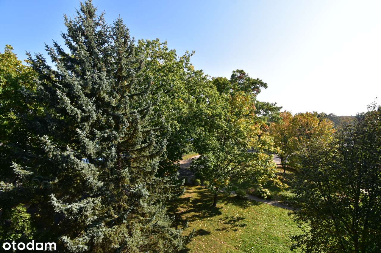 Mieszkanie 3 pokojowe z ogrz miejskim w samym centrum - 46m2-11