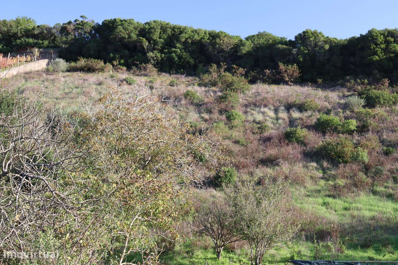Terreno urbano com casa em ruína na Bemposta, Bucelas-14