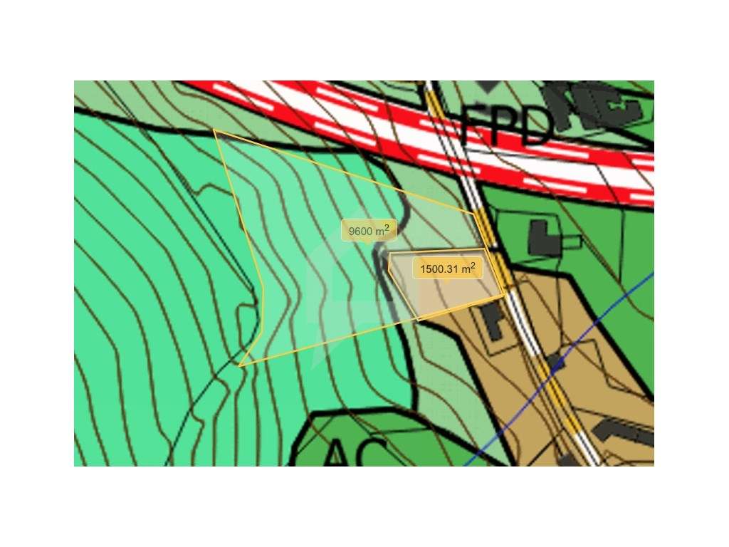 Terreno de pinhal em Carvalhal Barcelos - Grande imagem: 3/8