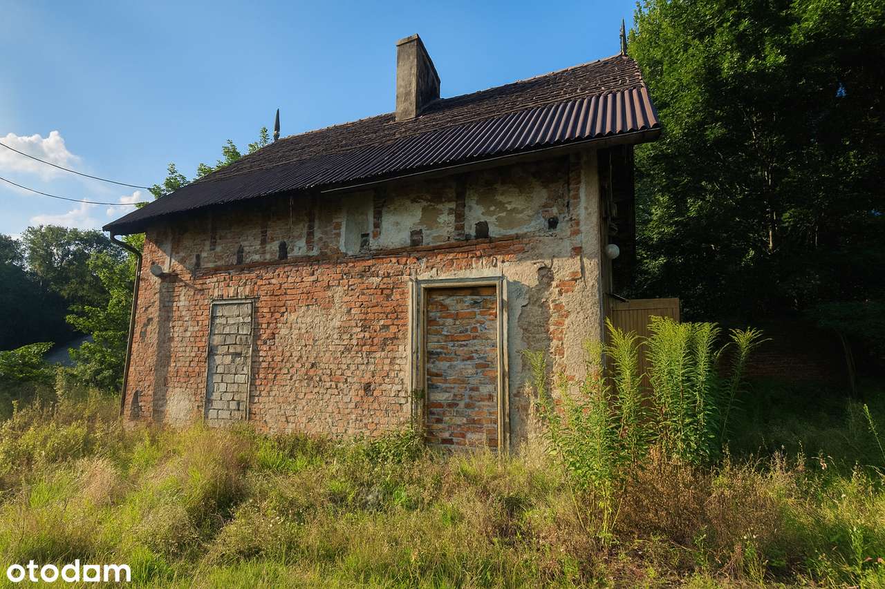 Twój azyl pod lasem – UNIKALNA działka z potencjałem w Wierzonce-5