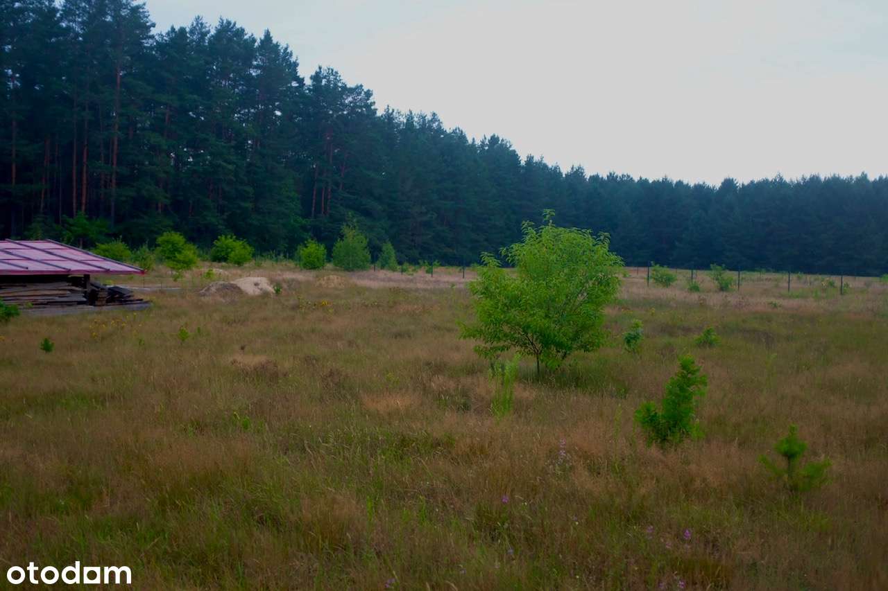 Działka we wsi Piaski z Pozwoleniem na budowę Puszcza Białowieska-10