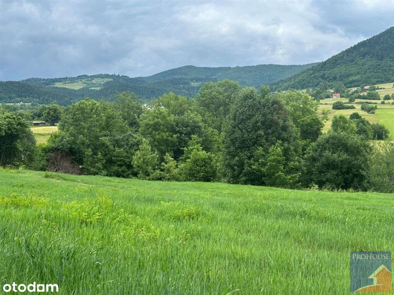 Działka, 4 873 m², Pisarzowa - Pełny obrazek: 5/18