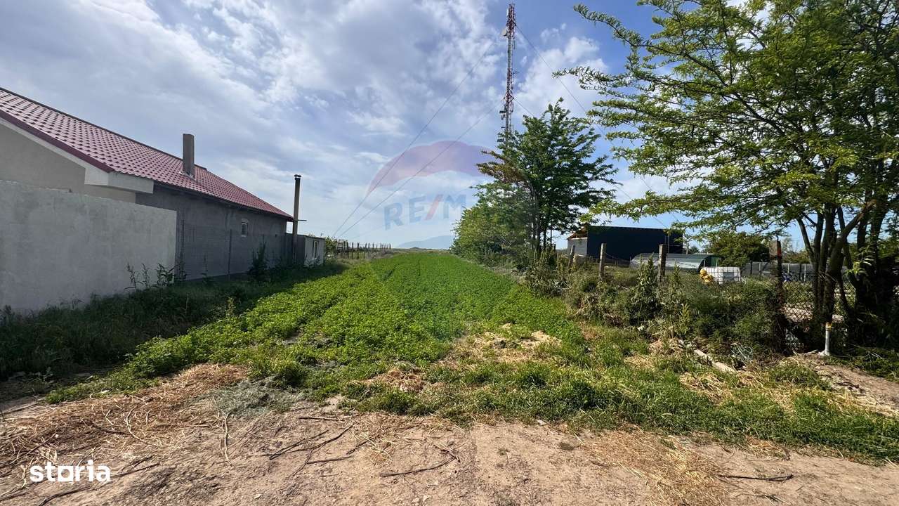 Teren Intravilan de vanzare 800 mp Valea Dacilor Medgidia - Imagine principală: 5/7