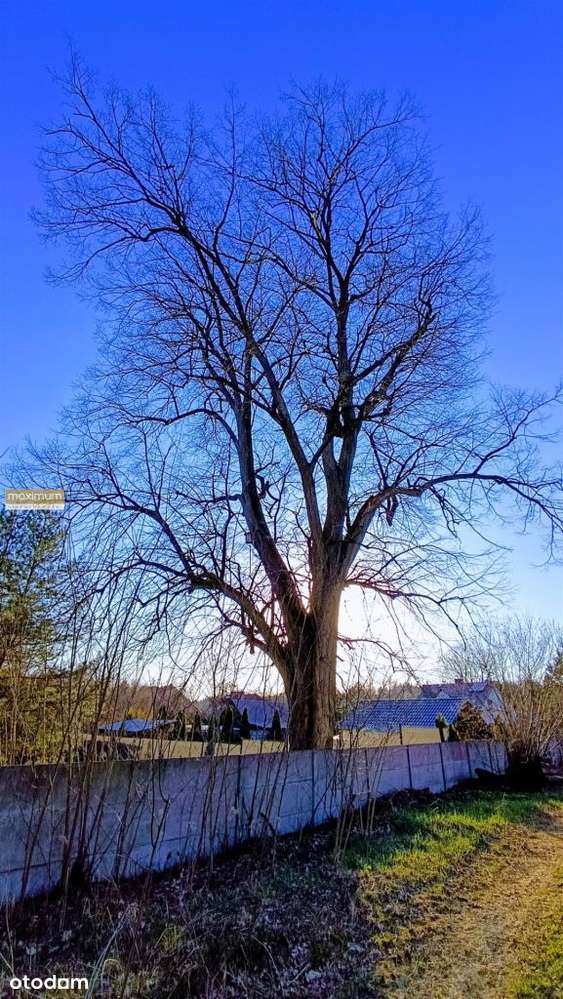 Działka budowlana w sąsiedztwie lasu - Pełny obrazek: 4/20