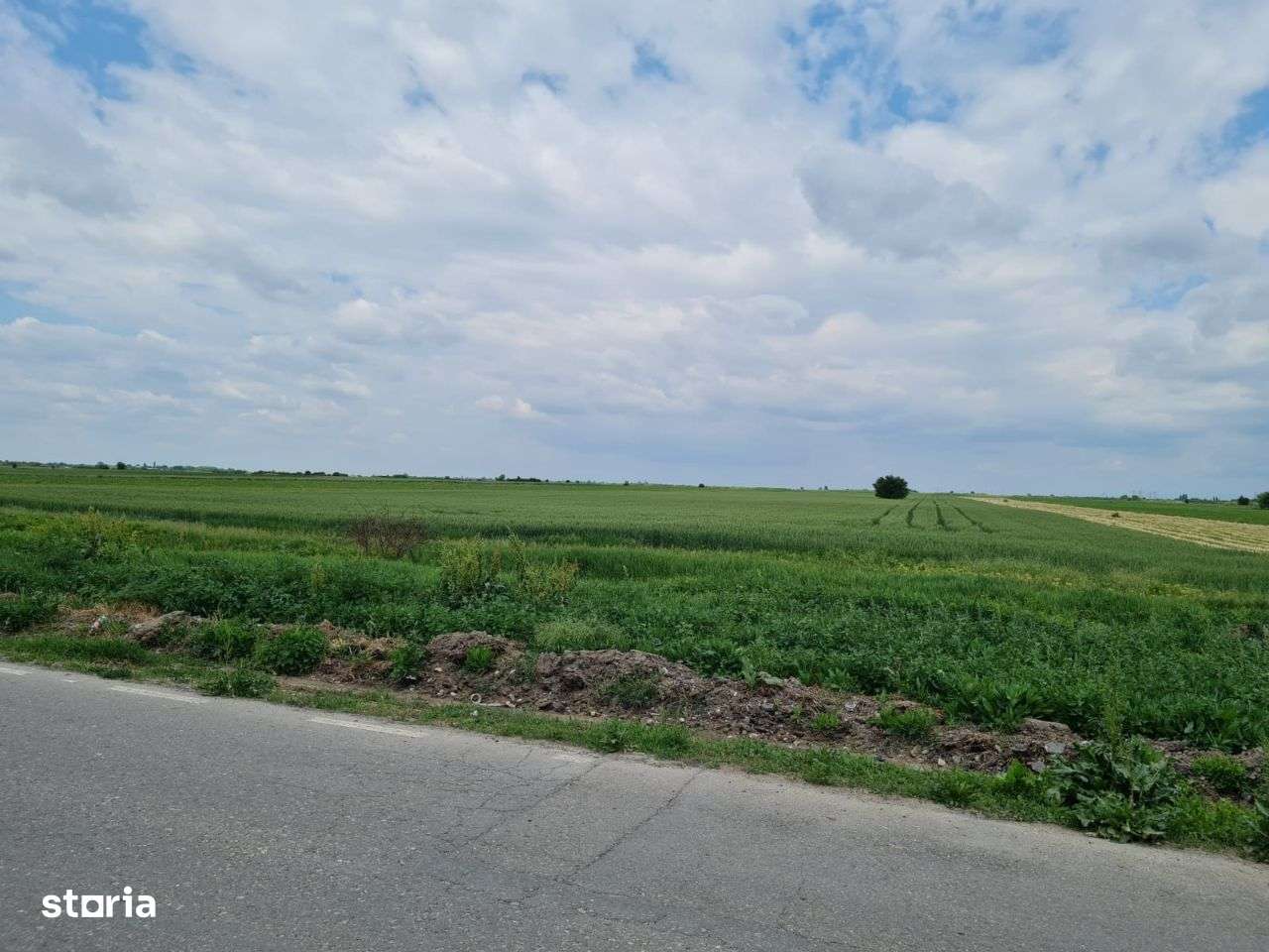 Teren Tartasesti - Brezoaie , deschidere generoasa la sosea-0