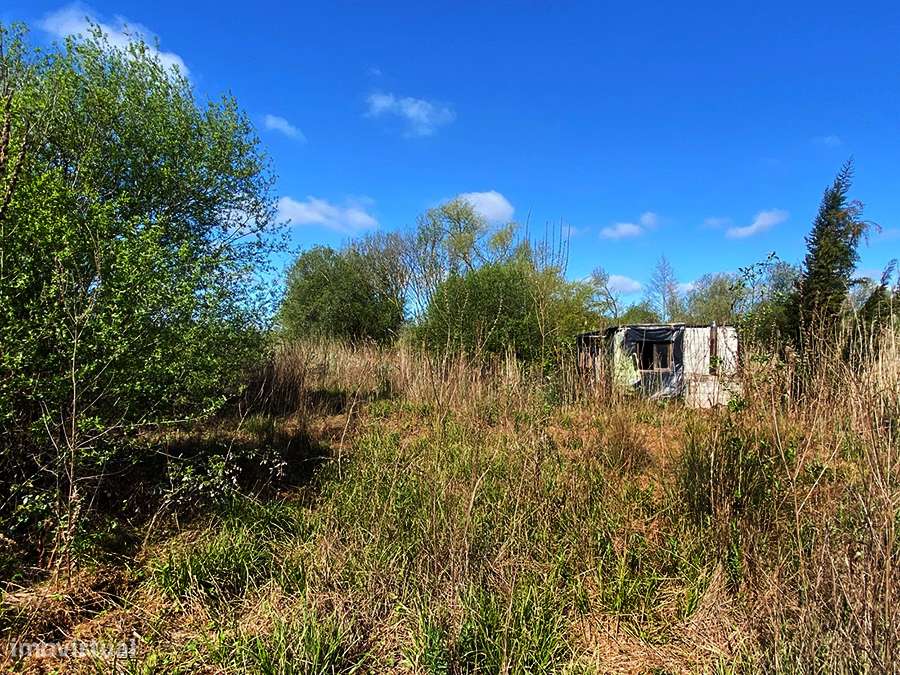 Terreno rústico plano, furo de água local tranquilo, luminoso, Maiorga - Grande imagem: 5/14