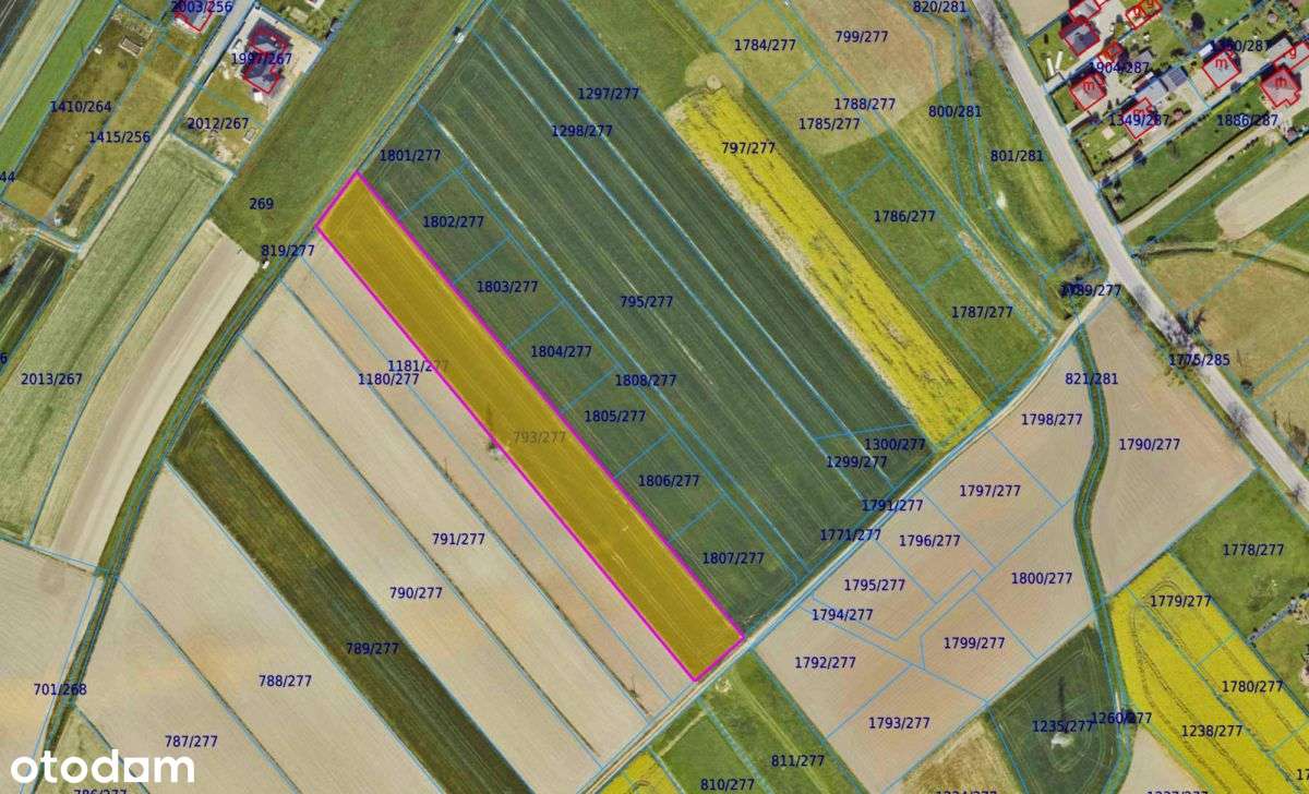 Okazja Inwestycyjna - Działka 5008 m² w Chudowie-11