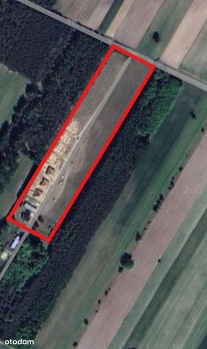 Osiedle NUNA 2, NASIELK ogród z widokiem na las-11