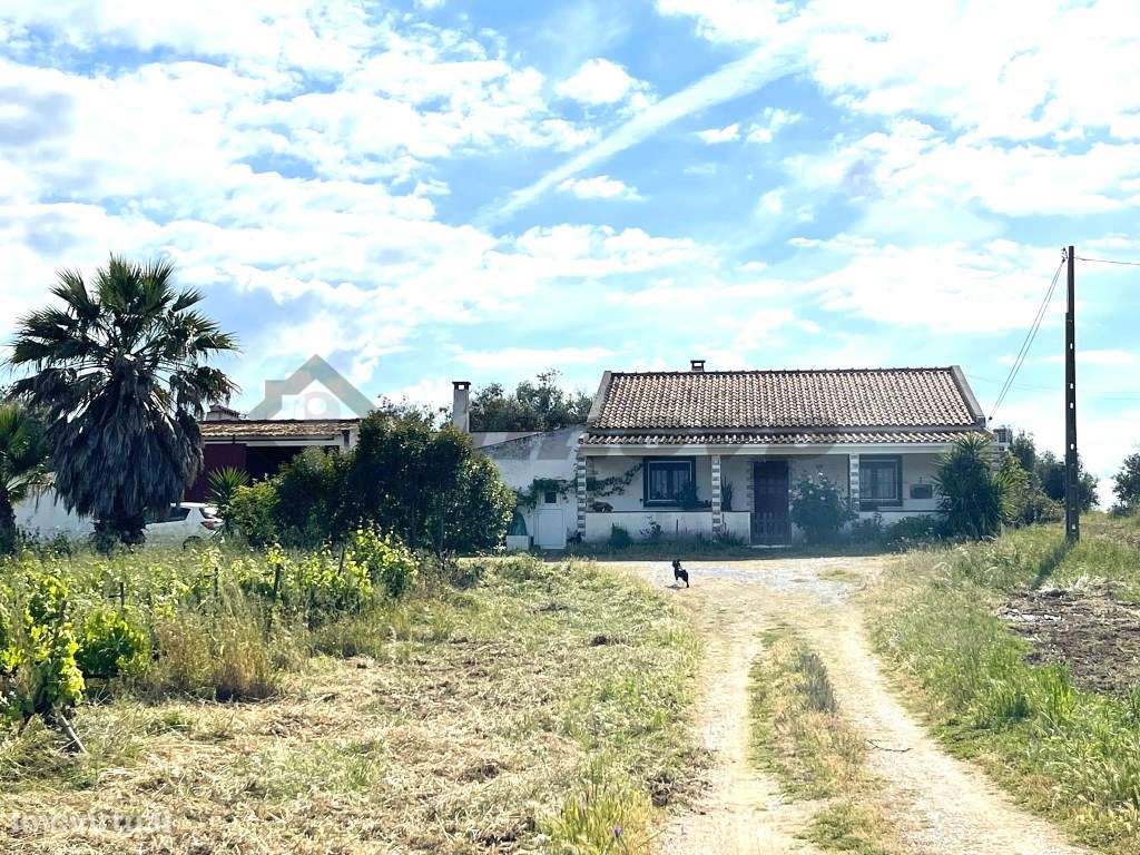 Quinta localizada a 1,5Km da Vidigueira - Grande imagem: 2/30