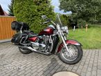 Triumph Thunderbird - 3