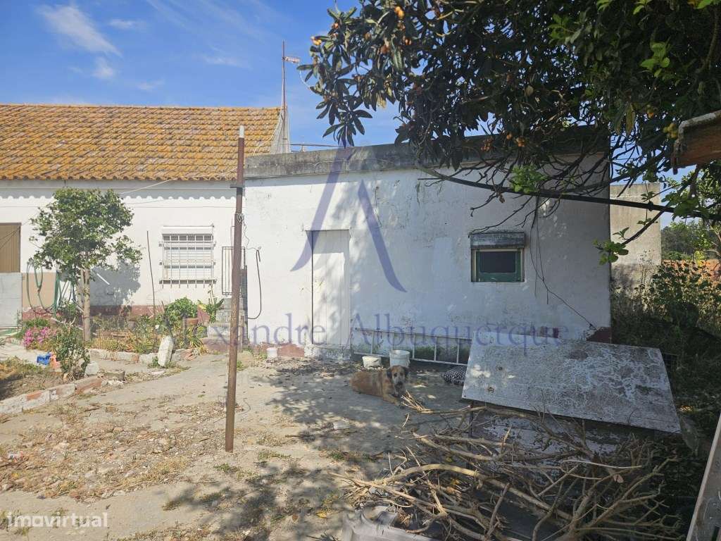 Quinta com 3 Habitações | Pinhal Novo | Terreno 5.400 m²-5