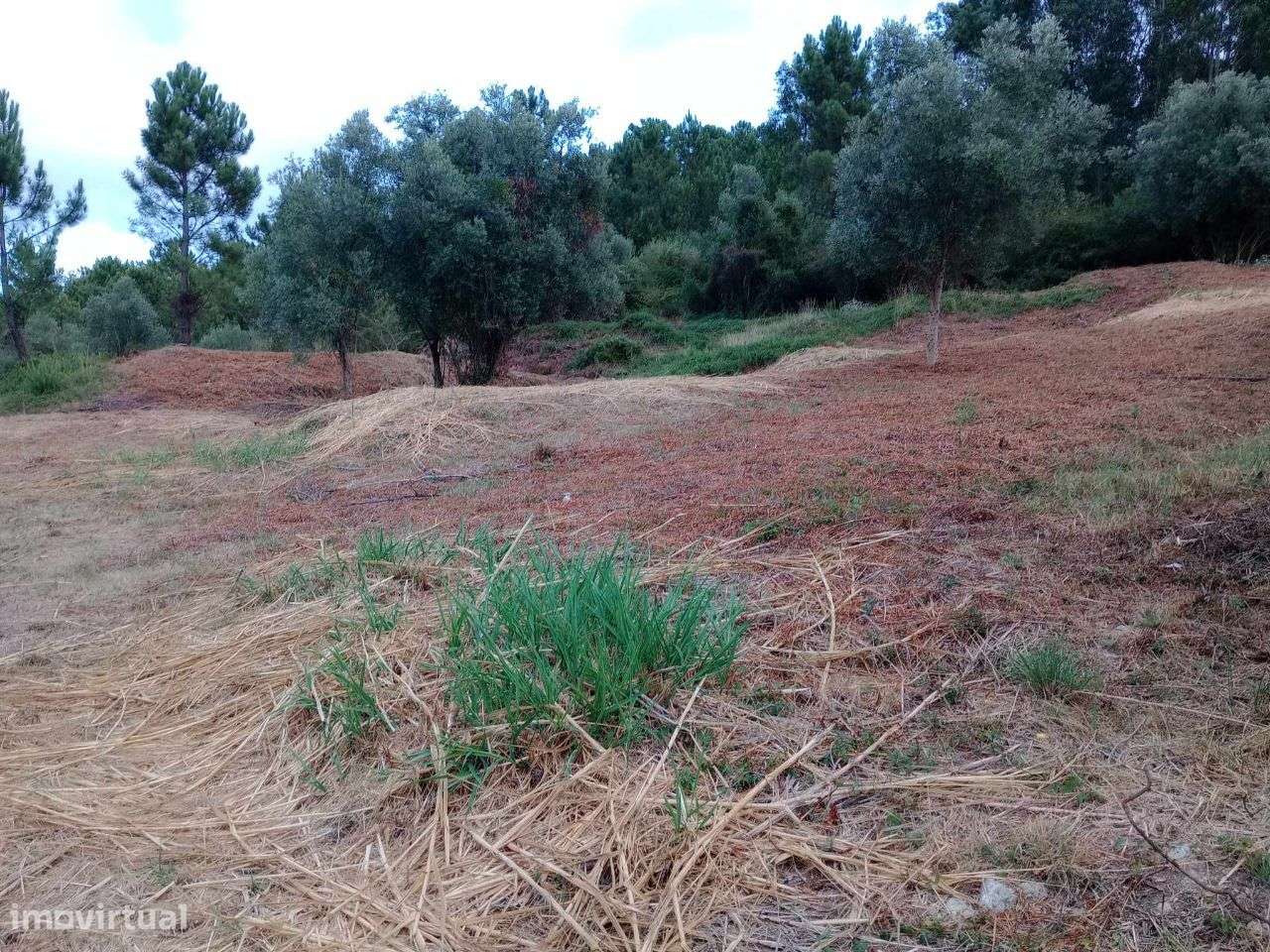Terreno Urbano com viabilidade para construção em Torre de Vilela - Grande imagem: 3/8