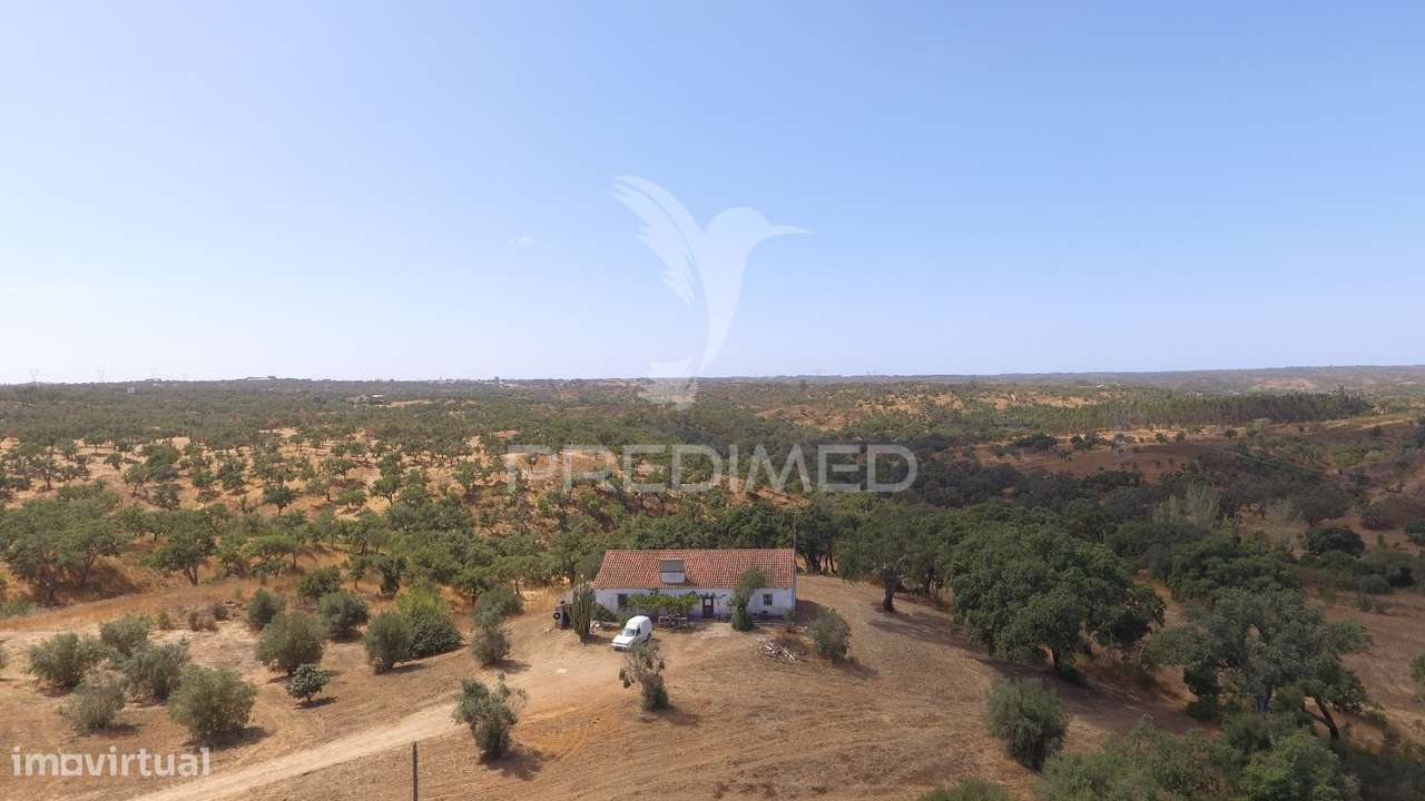 Herdade com 100ha em Santiago do Cacém - Grande imagem: 4/40