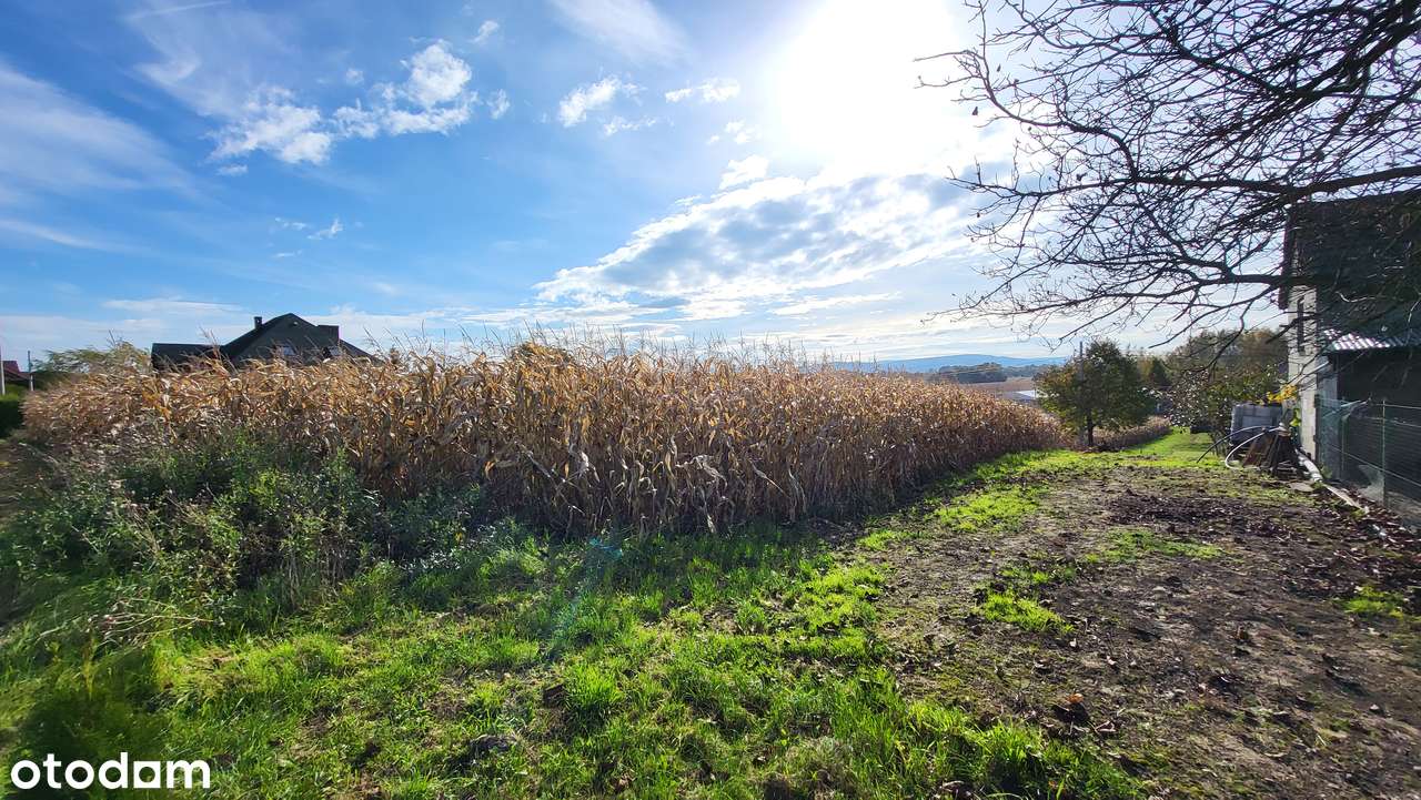 Działka budowlana Osiek | 9,5 a / 14,3 a | MPZP - Pełny obrazek: 4/6