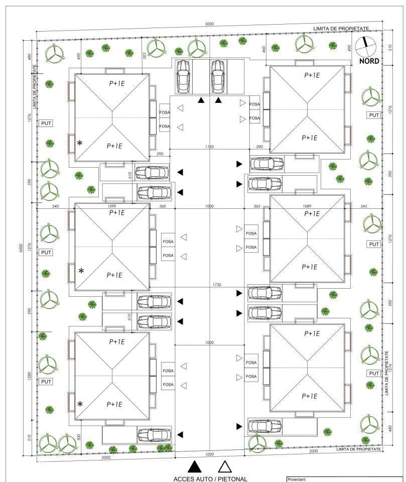 Vanzare vila individuala Tunari | Complex Teilor 77-13