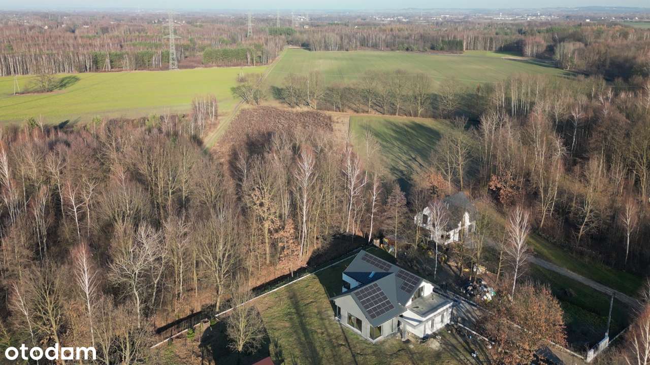 Sąsiedztwo jezior i lasów-1