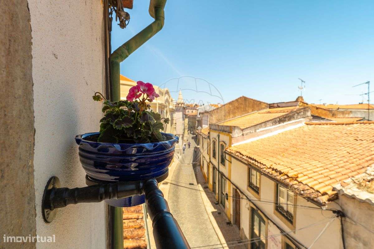 Apartamento T1 para venda - Grande imagem: 5/36