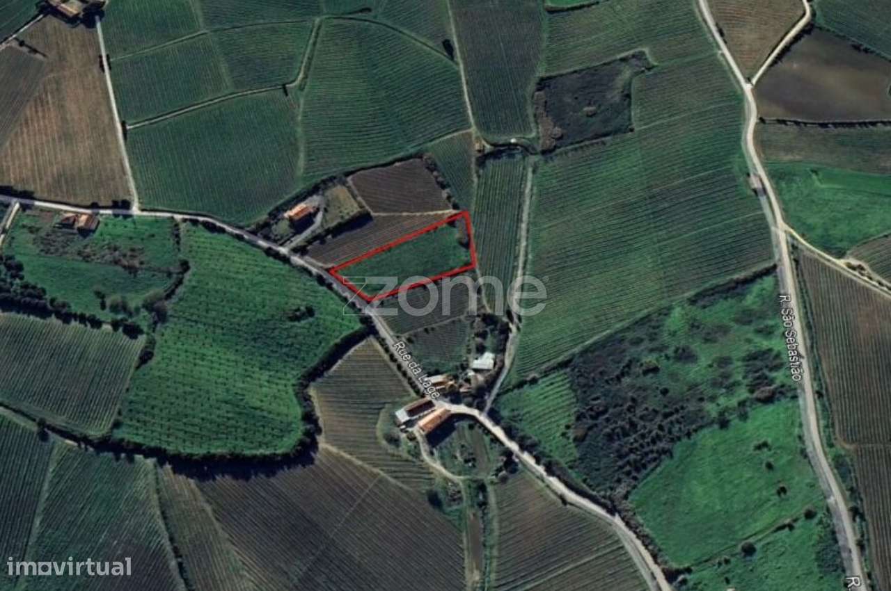 Terreno rústico em Aldeia Gavinha, Alenquer - Grande imagem: 4/11