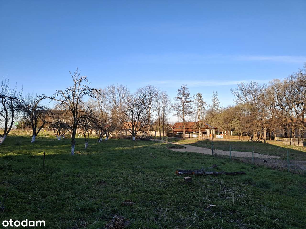 Działki budowlane mieszkaniowe, Sokola koło Jawora, różne powierzchnie - Pełny obrazek: 4/20