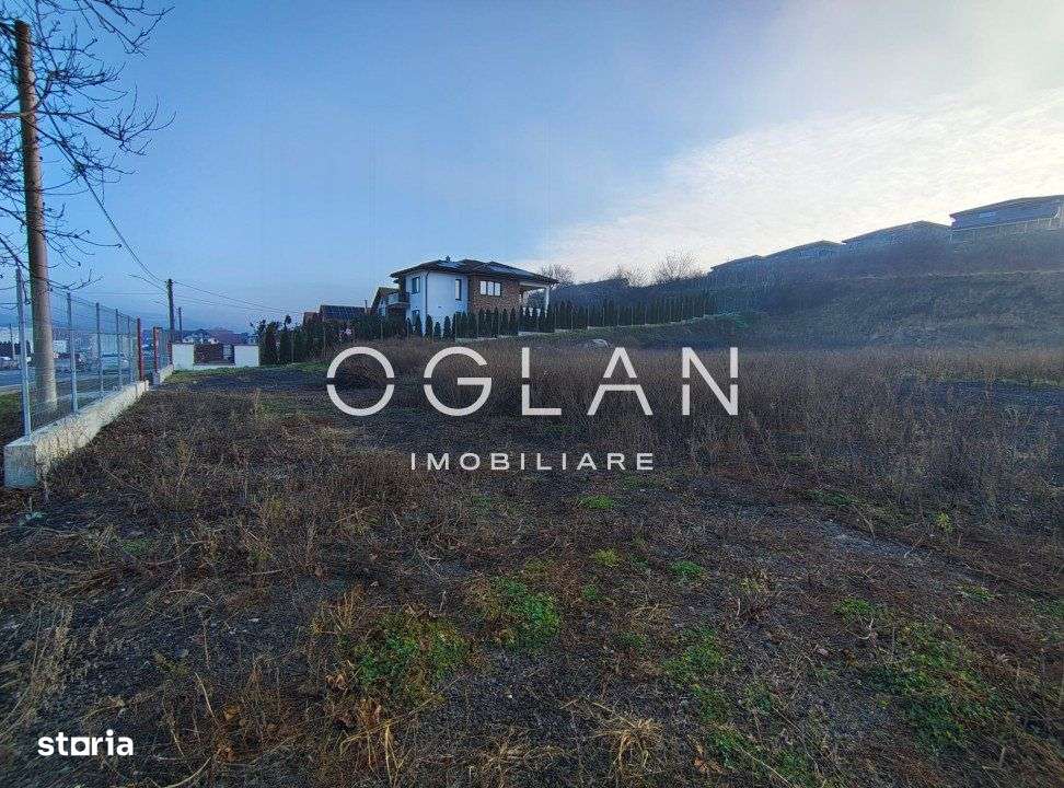 Teren Imprejmuit, la sosea (DN14)- SURA MARE - Imagine principală: 5/9