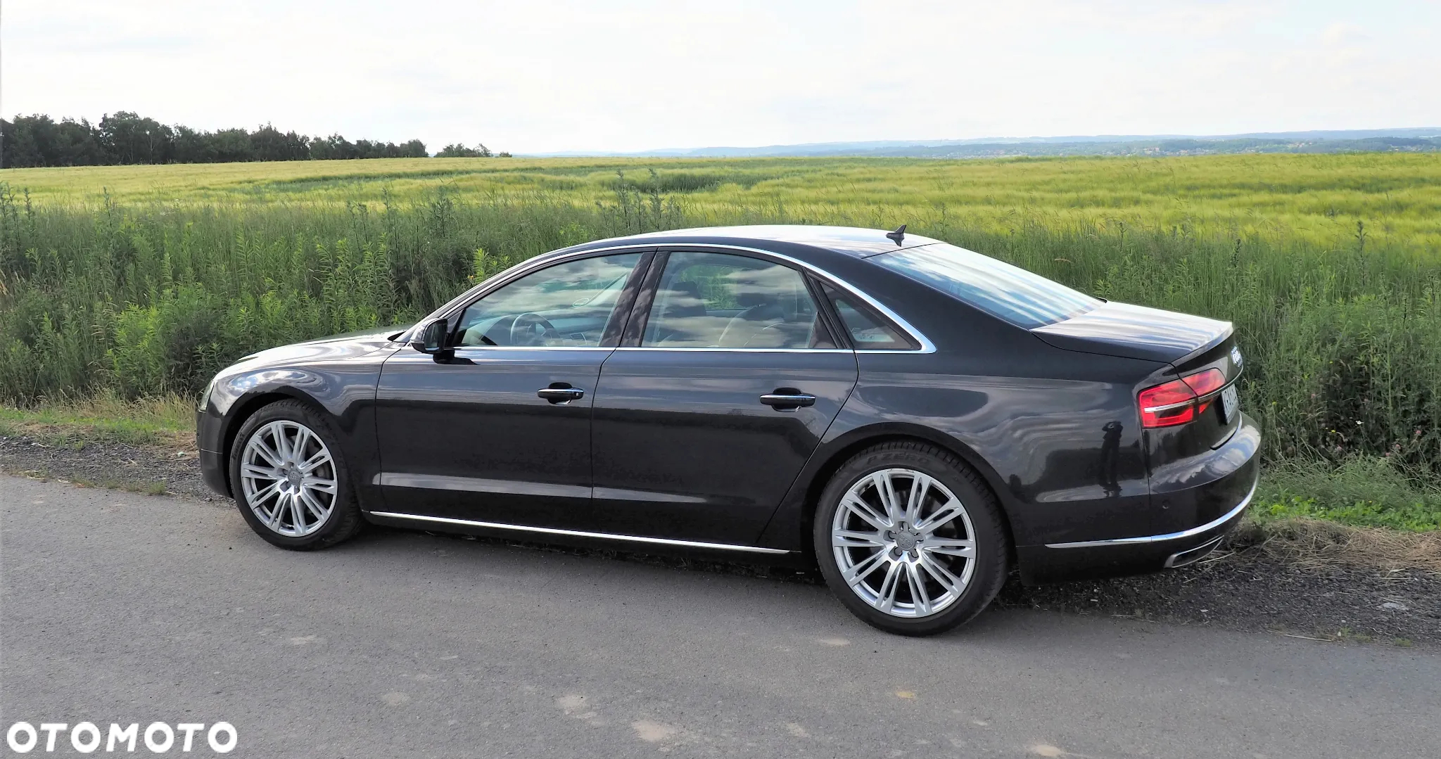 Audi A8 4.2 TDI DPF (clean diesel) quattro tiptronic - 14