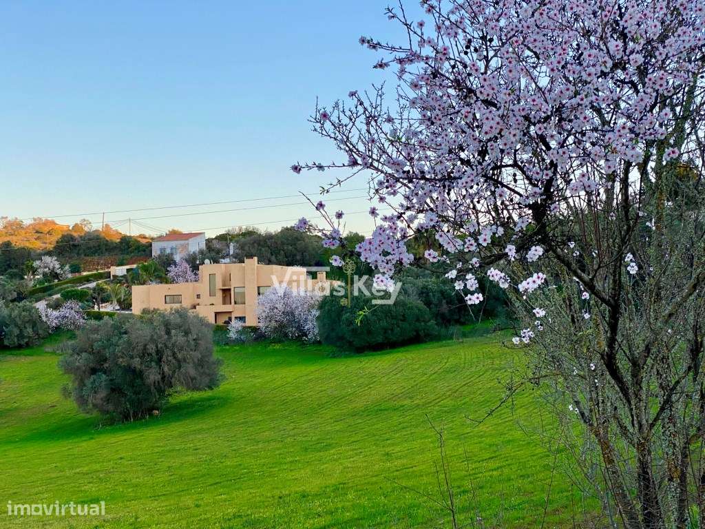 Moradia V5 com 4500mts2 e piscina em Lagos. - Grande imagem: 2/47