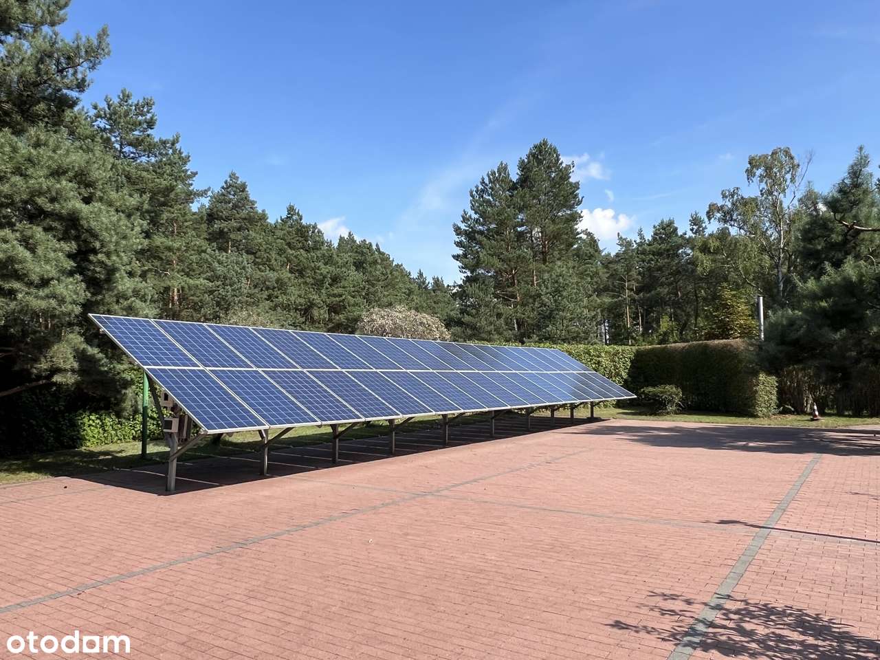 Dwa domy, duża działka, okazja - Pełny obrazek: 5/20